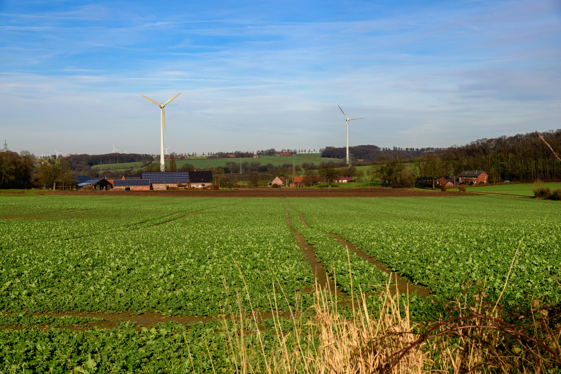 Green Energy